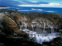 Punakaikai Rock, New Zealand